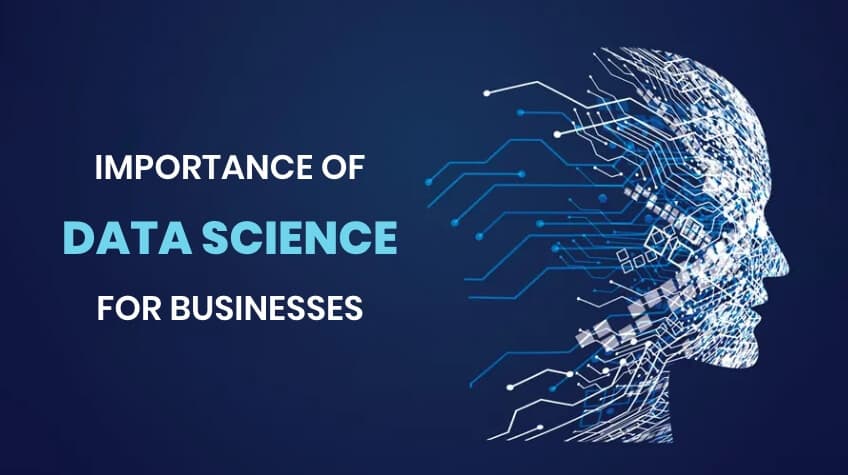 Why should you have a Data Science Team for your business?